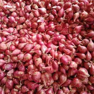 Hành Quảng Ngãi ( loại đẹp, chuẩn hàng Lý Sơn)