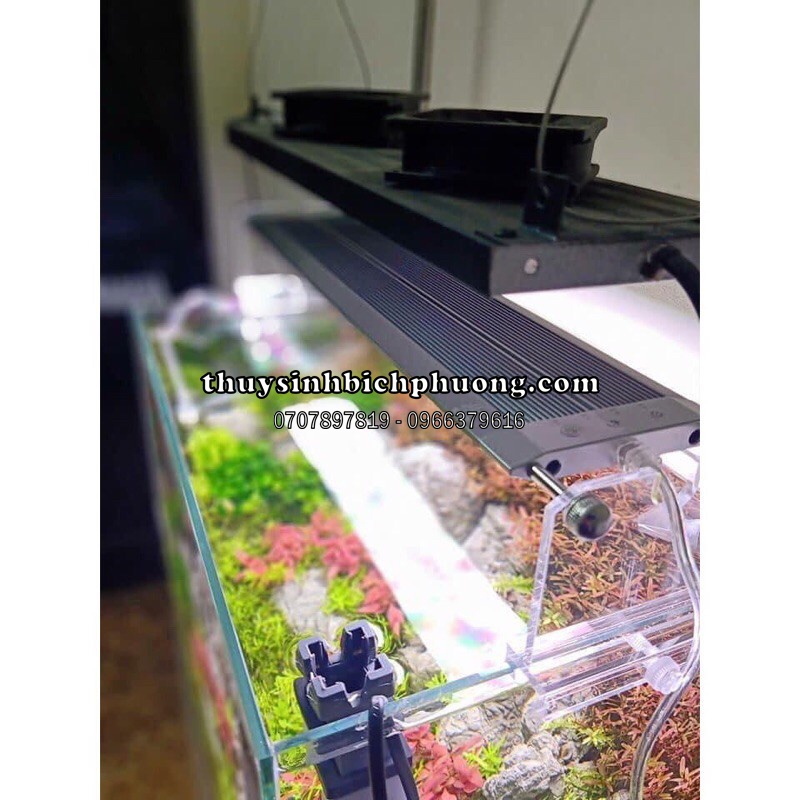 ĐÈN WEEK RAPTOR - LED WRGB THUỶ SINH CHUYÊN TRỒNG CÂY THUỶ SINH