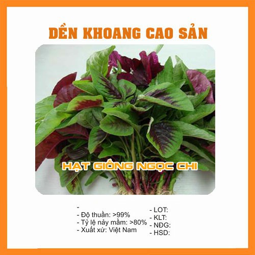 Hạt Giống Rau Dền Khoang Cao Sản - 20Gr