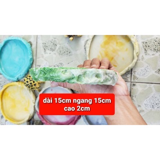Máng ăn + chén nước  cho Rùa và bò sát .