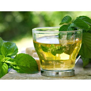 Trà bạc hà hữu cơ Fito