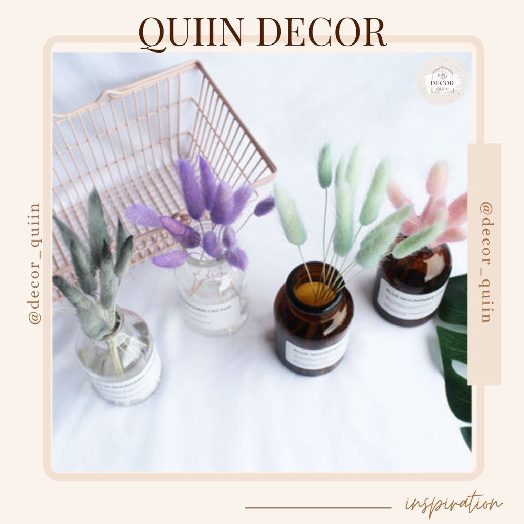 🤗Lọ hoa thủy tinh bắc âucỏ đuôi thỏ❤️[Freeship] 10 bông nhiều màu sắc hoa khô trang trí vintage decor quán