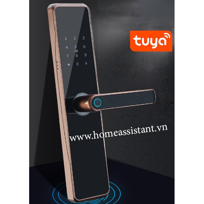 Khóa Cửa Thông Minh Wifi Zigbee Tuya DL03