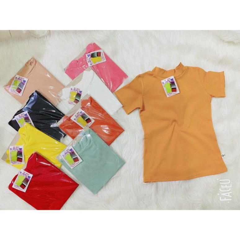Áo thun nữ Cổ lọ tay ngắn bh668 nhiều màu chất vải cotton co giãn ôm dáng cổ cao