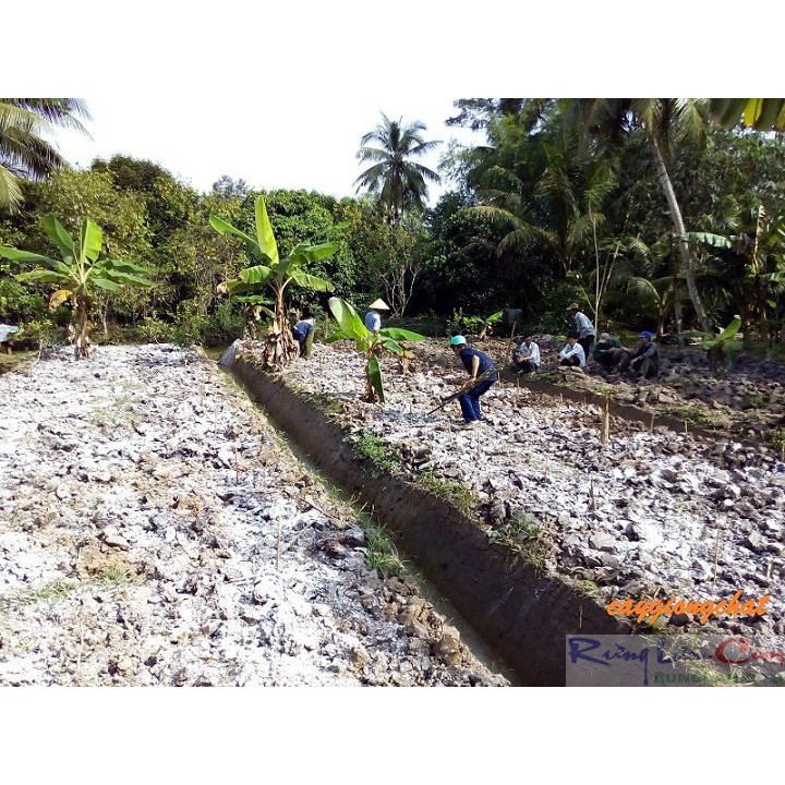 Tinh vôi 98 bột siêu sát khuẩn dùng cho nhà vườn trang trại khử khuẩn bịch 1kg