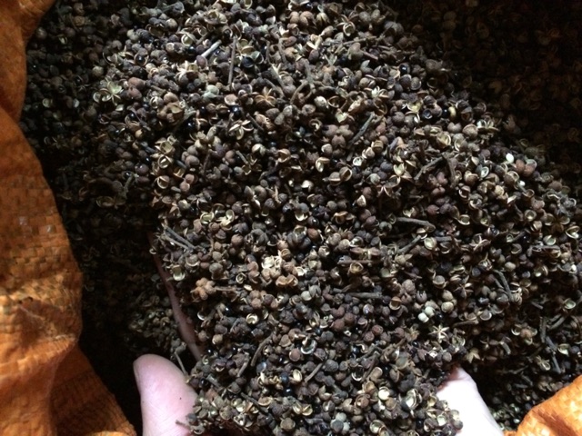 Mắc khén 100g (hạt sẻn, hạt tiêu rừng) | BigBuy360 - bigbuy360.vn