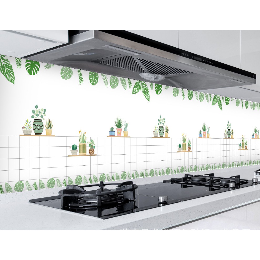 Decal giấy dán bếp tráng nhôm cách nhiệt mẫu chậu xương rồng nhí khổ 60cm