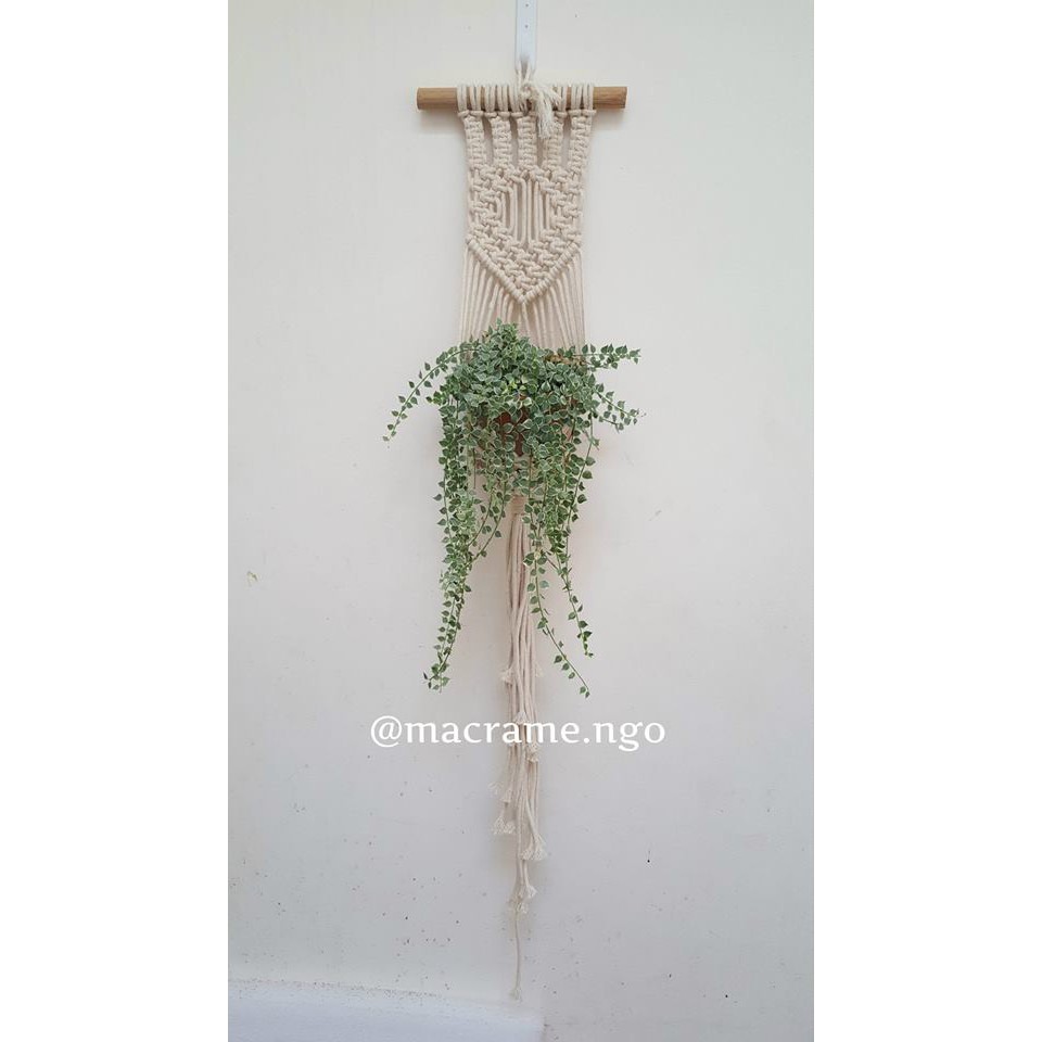 Dây treo cây trang trí nhà Macrame M02