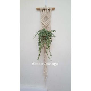 Dây treo cây trang trí nhà Macrame M02