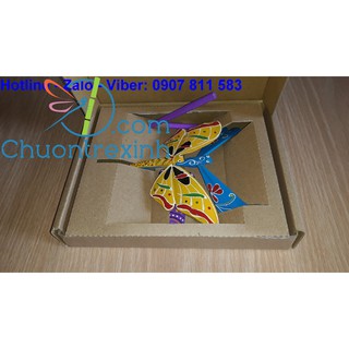 HCT6 Combo 2 hộp quà chuồn tre
