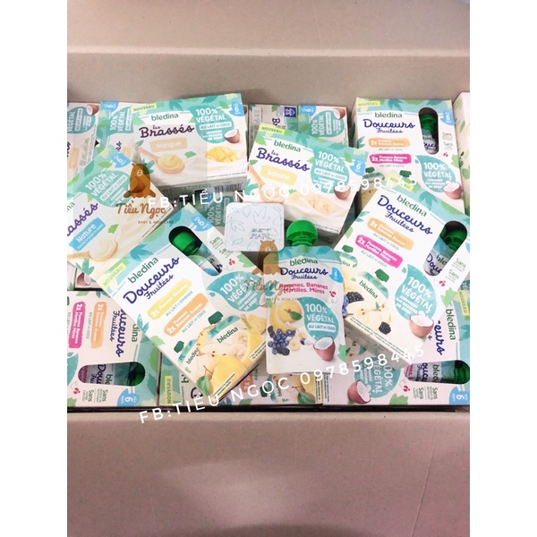 Sữa chua dừa Bledina Brasses cho bé dị ứng đạm sữa bò 6m+
