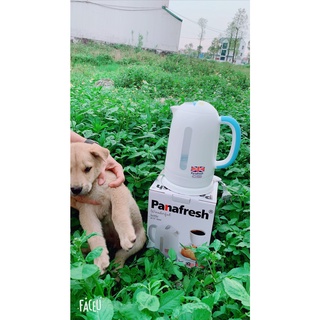 Ấm Siêu Tốc Panafresh JK 278 Hàng Malaysia