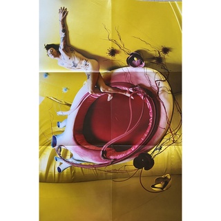 Harry Styles – Fine Line vinyl 2LP đĩa than