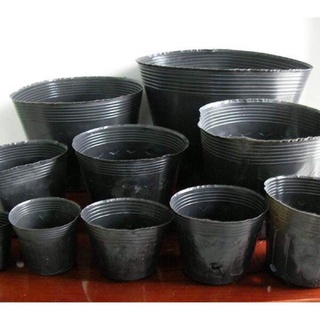 Chậu nhựa trồng cây size c5