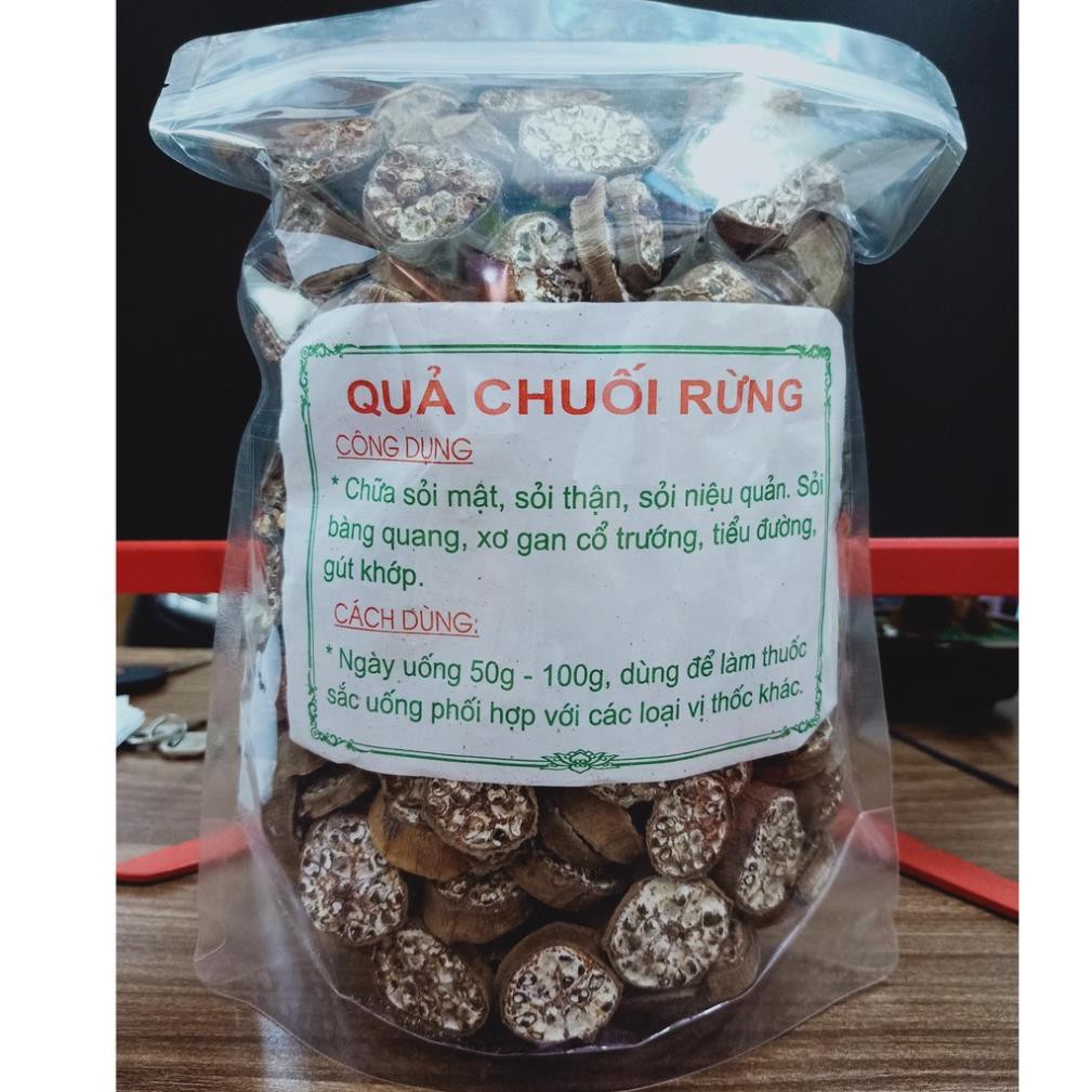 💥 CHUỐI HỘT RỪNG - CHUỐI RỪNG LÀO CAI