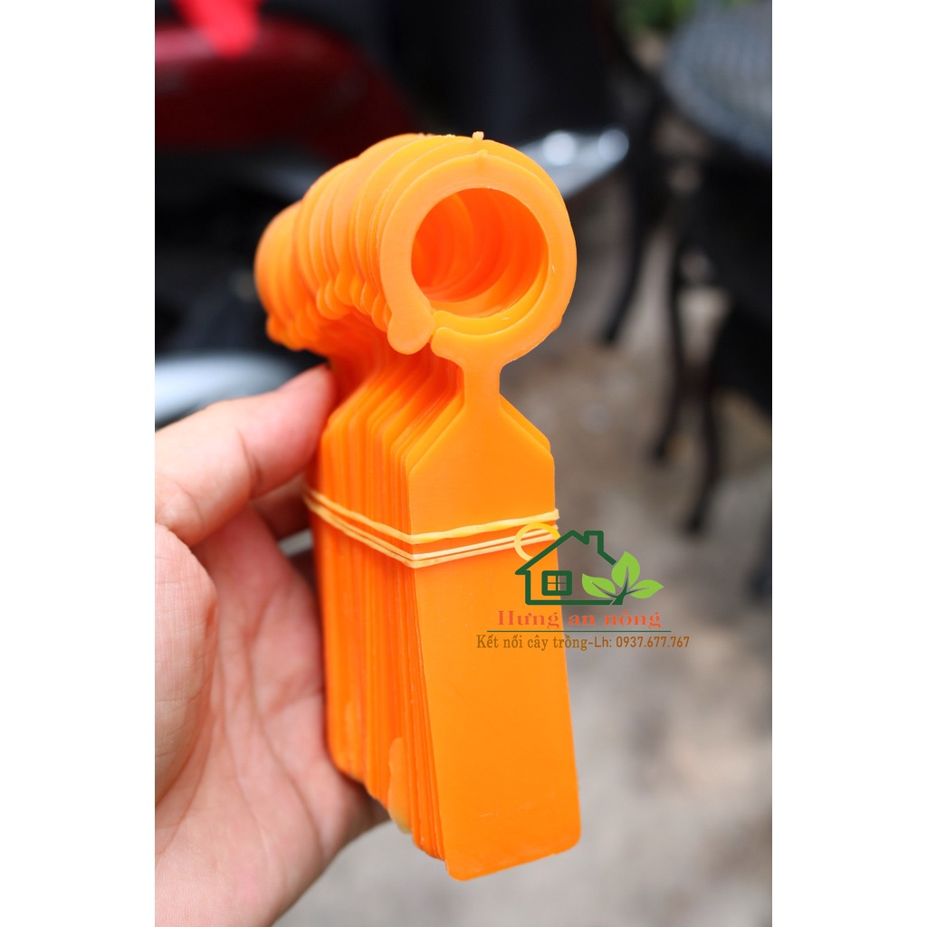 Sét 100 thẻ móc vòng treo cành ghi tên giống cây trồng 2.4x11cm
