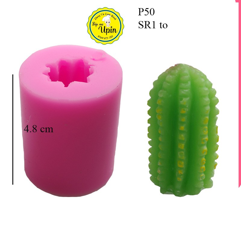 Khuôn Silicon Xương Rồng Các Loại Làm Bánh Trang Trí Bánh Thạch jelly
