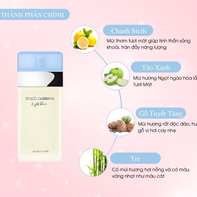 Nước hoa DG Light Blue EDT