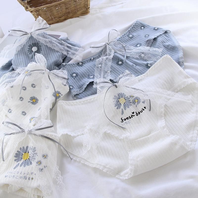 Quần lót cotton tăm cúc họa mi kute siêu xinh màu xanh trắng co giãn cực tốt D41
