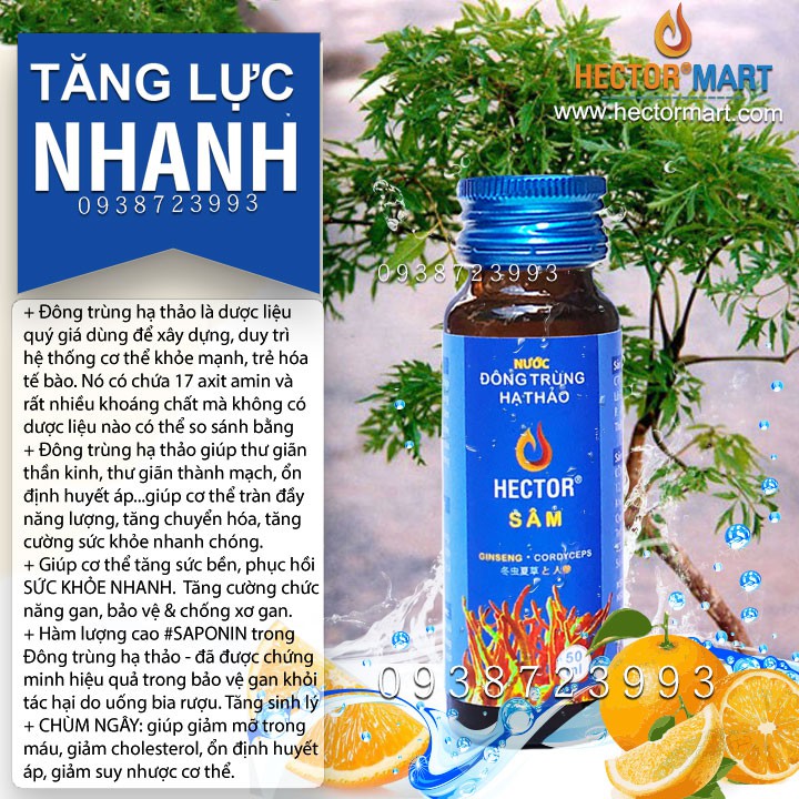 ✅(Date mới) ĐÔNG TRÙNG HẠ THẢO HECTOR SÂM✅Tăng cường hệ thống miễn dịch, sức bền & Sức khỏe toàn diện 10chai x 50ml