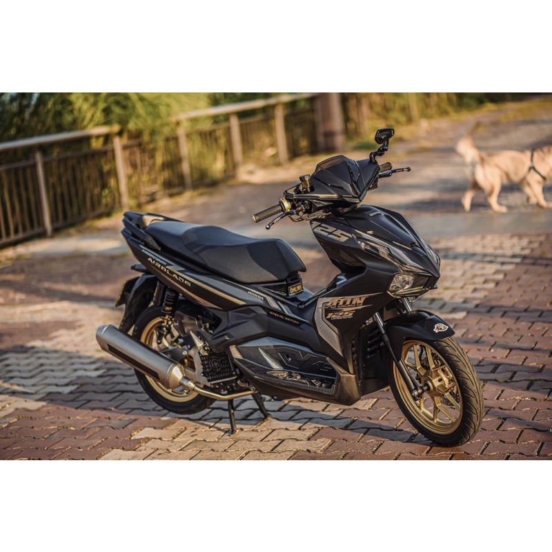 Tem airblade ADN ver 1