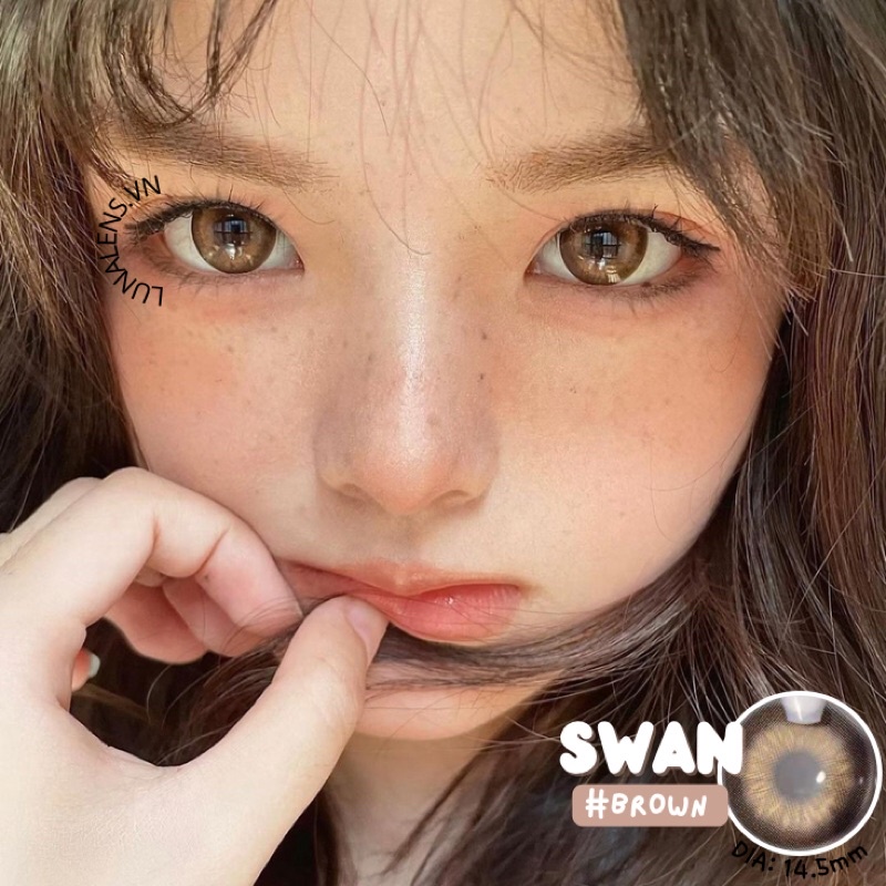 MỘT ĐÔI KÍNH ÁP TRÒNG MÀU NÂU SWAN BROWN SIÊU ÊM SIÊU MỀM NỘI ĐỊA TRUNG QUỐC - LENS CÓ ĐỘ CẬN