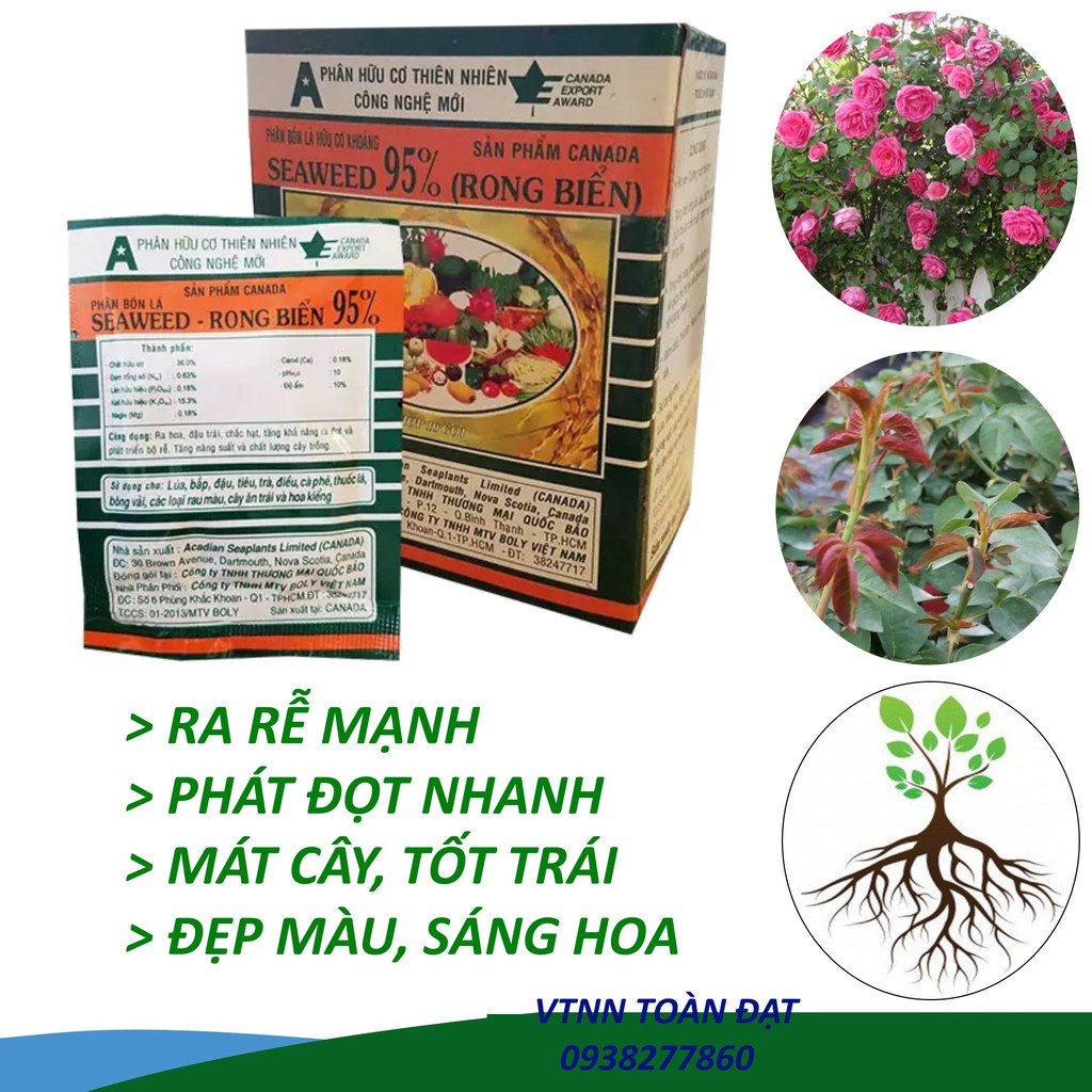 Phân Bón Lá SEAWEED Rong Biển 95% - Phân Hữu Cơ Khoáng Vi Sinh (10gr)