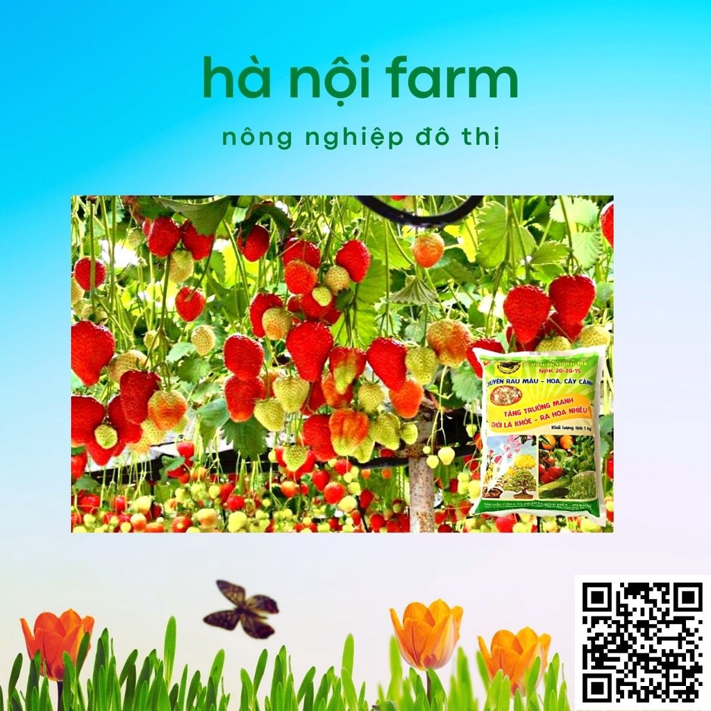 Phân bón đầu trâu 20-20-15, dùng cho rau màu, hoa kiểng gói 1kg