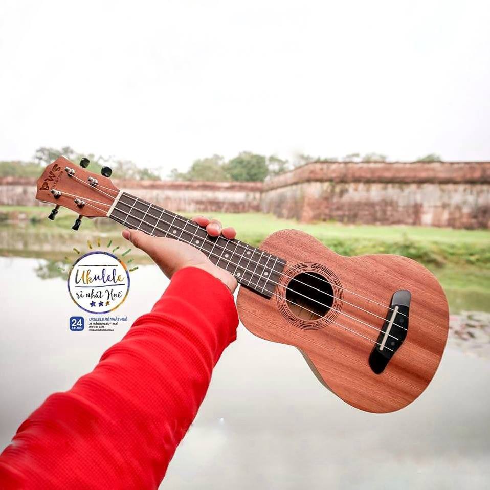 ĐÀN UKUELE CONCERT GỖ NGUYÊN TẤM - UKULELE RẺ