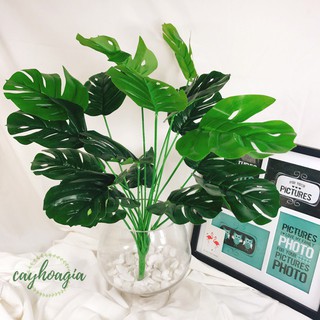 Cây lá rùa nhựa decor cỡ lớn - hoa giả trang trí nội thất