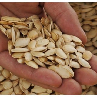 sỉ 5kg hạt bí ngô rang tãy