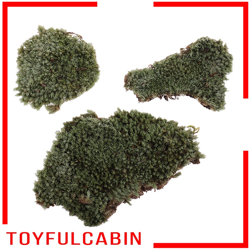 Mô Hình Bãi Cỏ Lichen Moss Màu Xanh Lá Tỉ Lệ 1: 35 DIY
