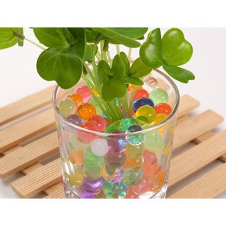 Gói Hạt Tinh Thể, Hạt Nở Slime Trồng Cây Không Cần Đất (100 Viên)