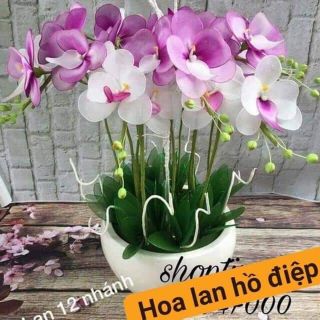 COMBO Nguyên liệu hoa voan