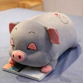 Heo ngủ  mắt  lim dim 65 cm