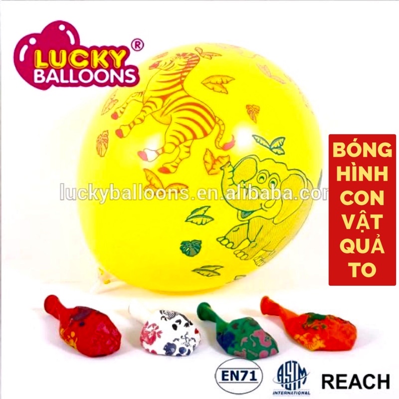 BÓNG BAY-BÓNG GIUN-BÓNG NHÍ-BÓNG THÚNG-BÓNG ĐÁM CƯỚI CÁC LOẠI
