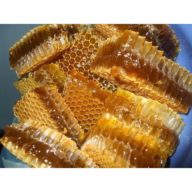 MẬT ONG RỪNG NGUYÊN CHẤT- chất lượng thượng hạng &quot;SWEET HONEY&quot;