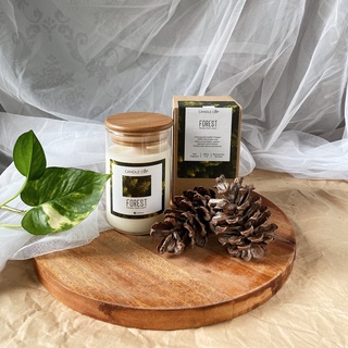Nến thơm Candle Cup mùi GingerGrass - Sả Gừng
