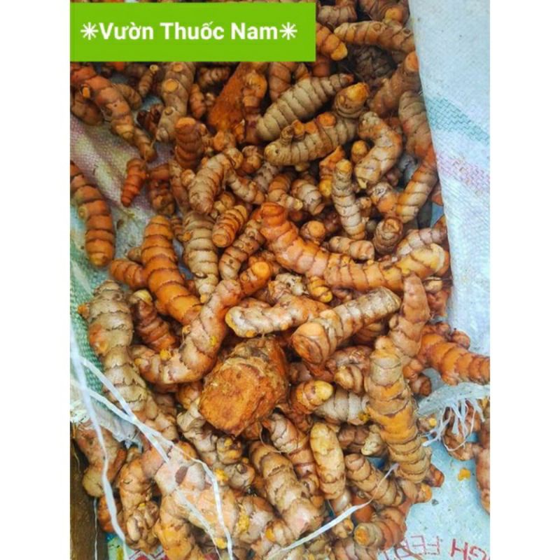 củ nghệ vàng tươi nhà trồng chuẩn đảm bảo