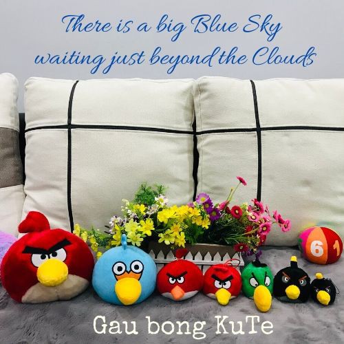 Gấu bông - Angry bird móc khóa