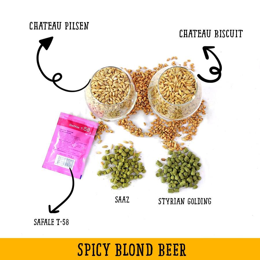 Set nguyên liệu nấu bia Spicy Blond Beer