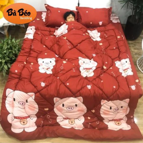 Trọn bộ 5 món ga gối chăn phao poly cotton có ruột bông dày loại 1
