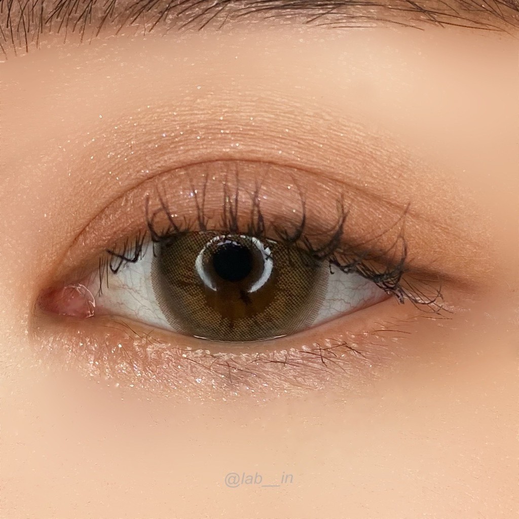 [𝟭 𝗛𝗢̣̂𝗣] Kính Áp Tròng ANN365 Lens 1 Ngày Đủ Độ Cận Màu Nâu Hồng Trà Mellow Brown, Lens Nội Địa Hàn