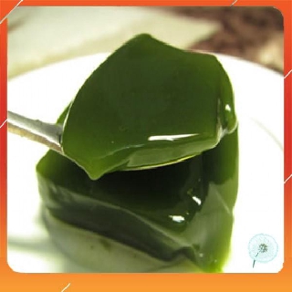 15h Hạt Giống Sương Sâm Lông (Tiliacora triandra) NNF1