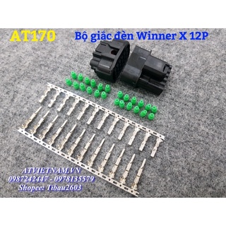 Bộ giắc đèn 12 lỗ 12P cho Winner X ( bịch 5 bộ gồm cos bên trong)