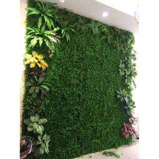 Cây Dương Xỉ trang trí tường cỏ