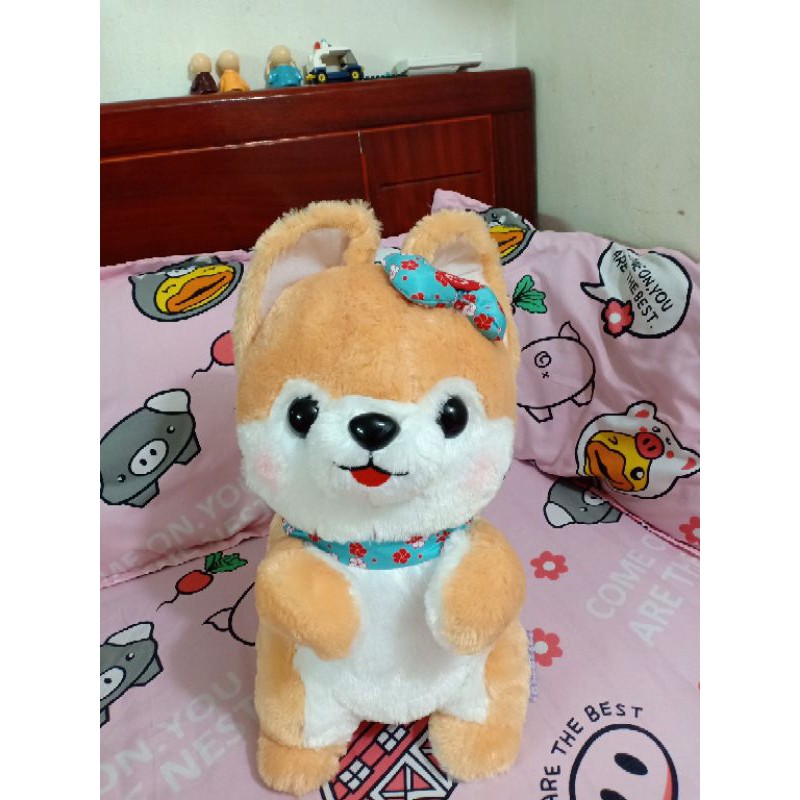 Chó bông Shiba new dáng đứng