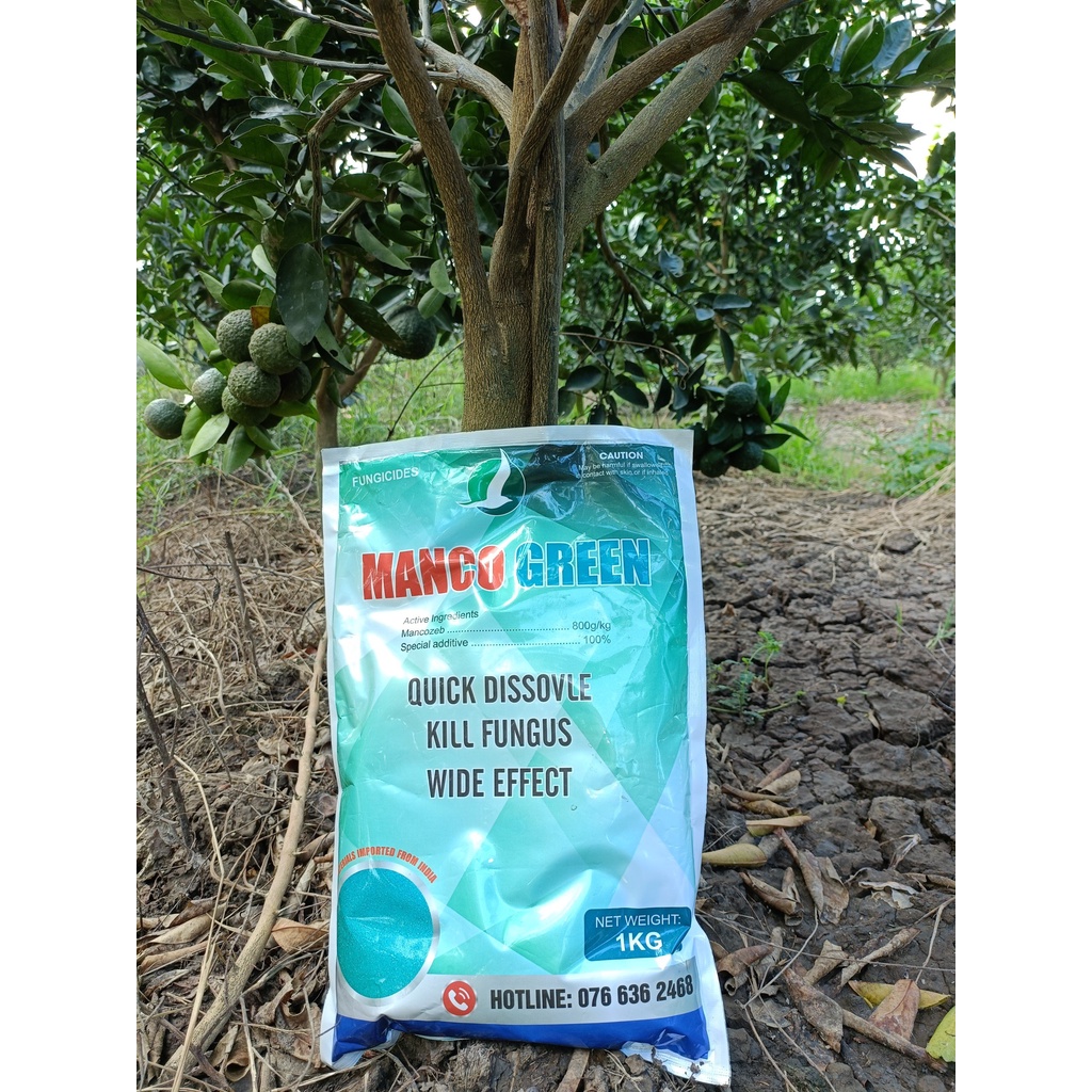 CHẠM LÀ DÍNH, SÀI LÀ MÊ - MANCOZED XANH ẤN ĐỘ