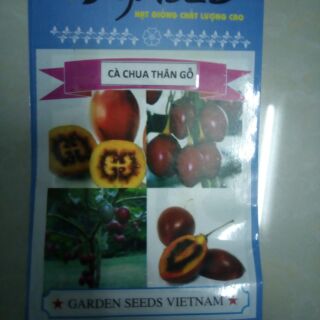 Hạt giống cà chua thân gỗ