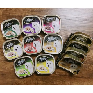 Pate hộp Cesar cho cún mèo🍲🥘